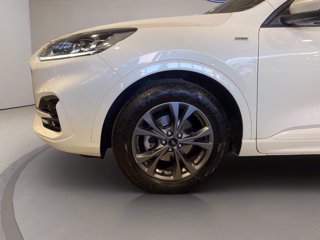 FORD Kuga 1.5 ecoboost ST-Line 2wd 150cv