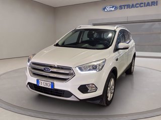 FORD Kuga 1.5 tdci Business s&s 2wd 120cv my19.25