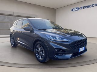 FORD Kuga 1.5 ecoblue ST-Line 2wd 120cv auto