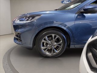 FORD Kuga 2.0 ecoblue ST-Line 2wd 120cv auto