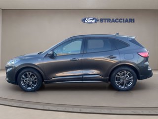 FORD Kuga 1.5 ecoblue ST-Line X 2wd 120cv auto