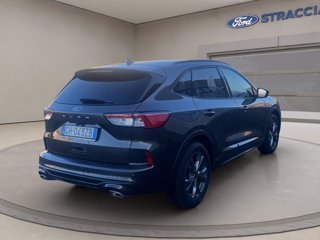 FORD Kuga 1.5 ecoblue ST-Line X 2wd 120cv auto