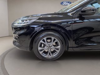 FORD Kuga 2.0 ecoblue ST-Line 2wd 120cv auto