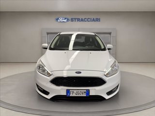 FORD Focus 5p 1.6 Plus Gpl 120cv
