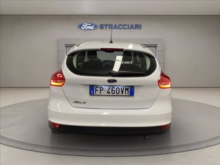 FORD Focus 5p 1.6 Plus Gpl 120cv