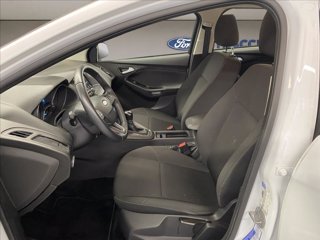 FORD Focus 5p 1.6 Plus Gpl 120cv