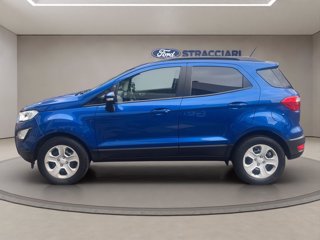 FORD EcoSport 1.0 ecoboost Plus 100cv my20.25