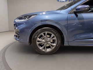 FORD Kuga 2.5 full hybrid ST-Line 2wd 190cv cvt