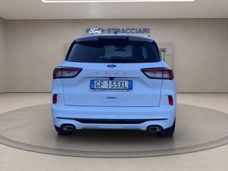 FORD Kuga 1.5 ecoblue ST-Line 2wd 120cv auto