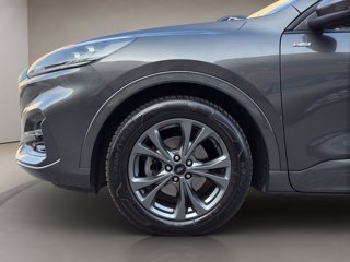 FORD Kuga 2.0 ecoblue ST-Line 2wd 120cv auto