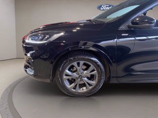 FORD Kuga 2.0 ecoblue ST-Line 2wd 120cv auto