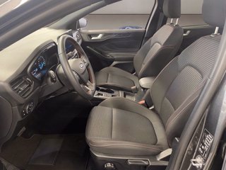 FORD Focus 1.5 ecoblue ST-Line 115cv auto