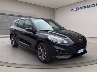FORD Kuga 1.5 ecoblue ST-Line 2wd 120cv