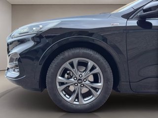 FORD Kuga 1.5 ecoblue ST-Line 2wd 120cv