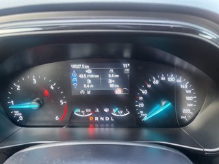 FORD Focus 1.5 ecoblue ST-Line 115cv auto