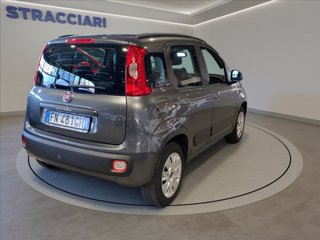 FIAT Panda 1.2 Lounge 69cv