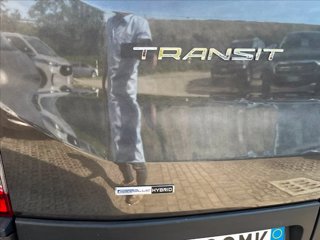 FORD Transit 290 2.0 tdci MHEV 130cv trend L2H2 E6.2