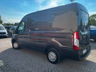 FORD Transit 290 2.0 tdci MHEV 130cv trend L2H2 E6.2