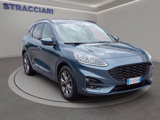 FORD Kuga 1.5 ecoblue ST-Line X 2wd 120cv auto