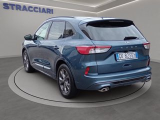 FORD Kuga 1.5 ecoblue ST-Line X 2wd 120cv auto